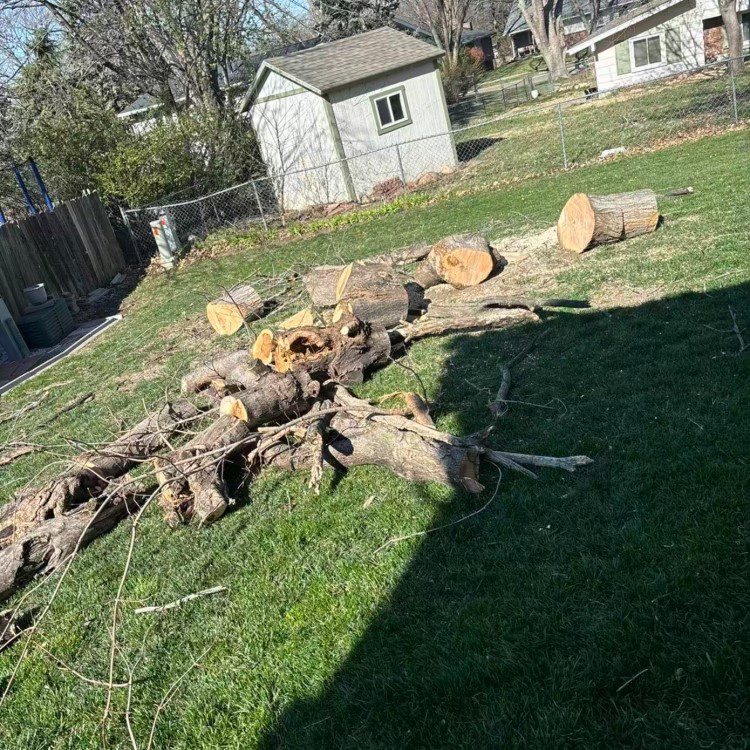 Tree Removal in Lincoln
