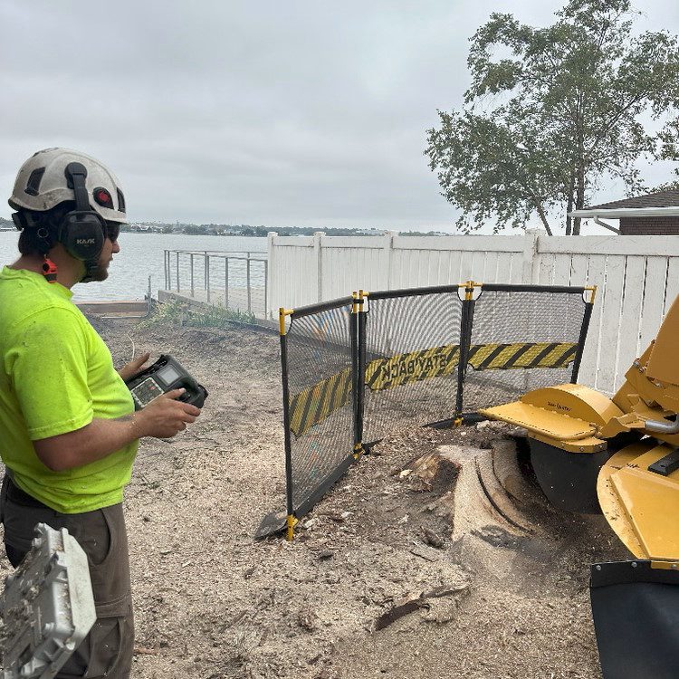 Stump Grinding in Lincoln
